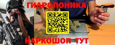 Альфа ПВП Будённовск