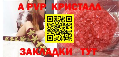 Альфа ПВП Будённовск